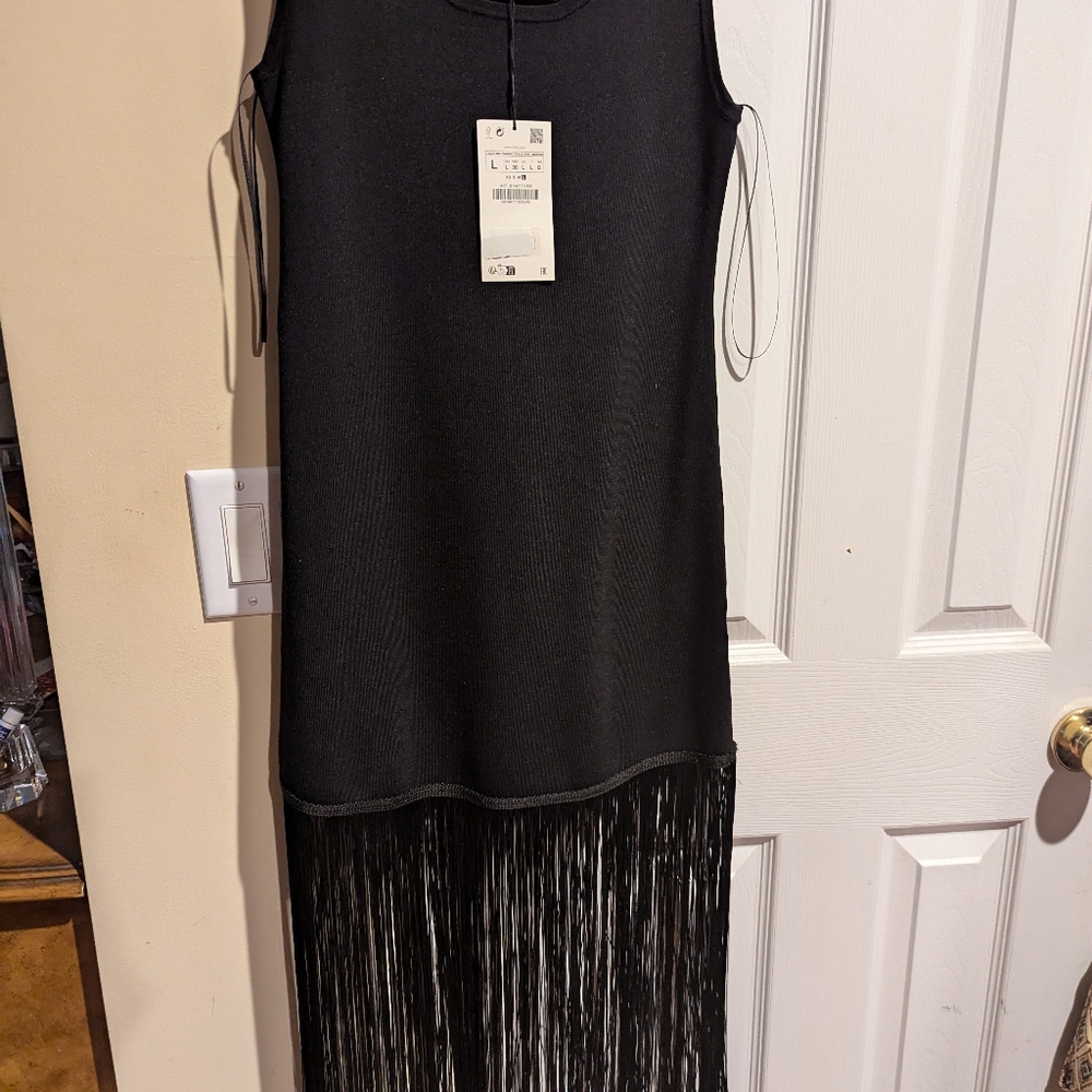 Nwt Zara fringe dress